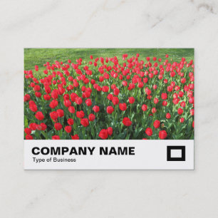 Bed of Red Tulips 01 Business Card