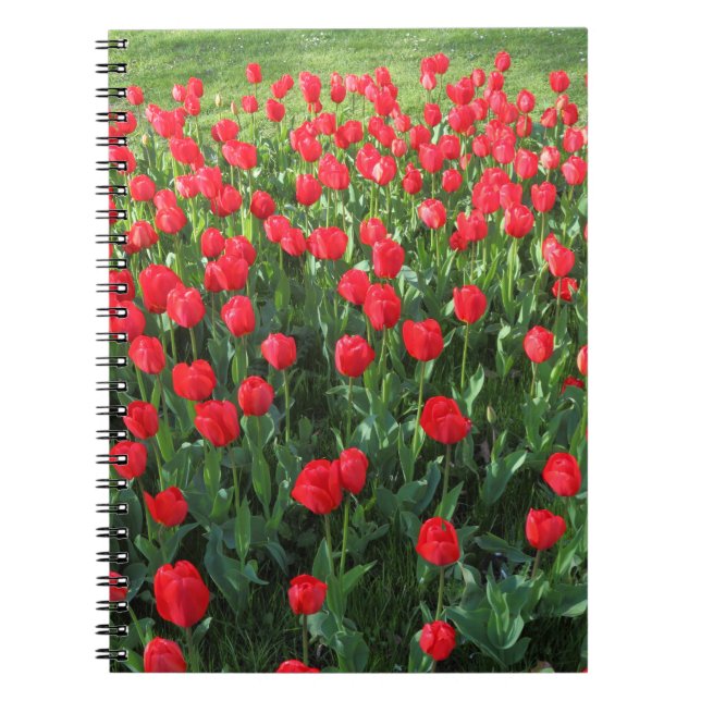 Bed of Red Tulips 01 Spiral Notebook (Front)