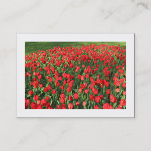 Bed of Red Tulips 02 (Bordered) Business Card