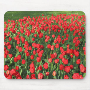 Bed of Red Tulips 02 Mouse Pad