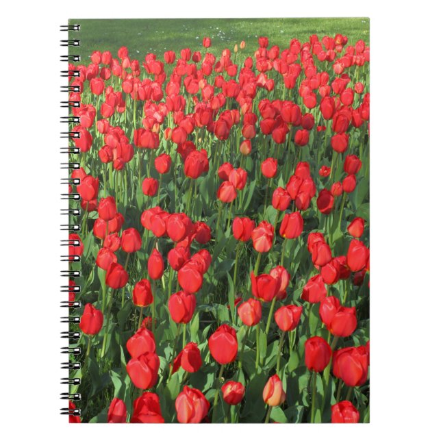 Bed of Red Tulips 02 Spiral Notebook (Front)