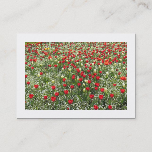 Bed of Tulips (Bordered) Business Card (Front)