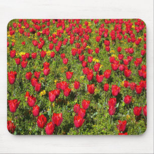 Bed of Tulips Mouse Pad