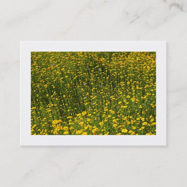 Bed of Yellow Daisies (Bordered) Business Card (Front)
