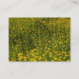 Bed of Yellow Daisies Business Card