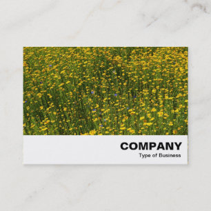 Bed of Yellow Daisies Business Card