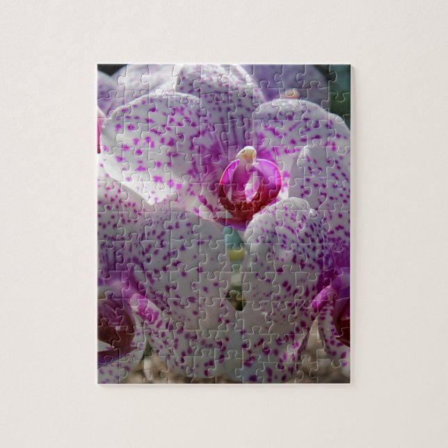 Bedazzled Jigsaw Puzzle (Vertical)