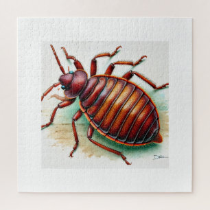 Bedbug dorsal view 160924IREF212 - Watercolor Jigsaw Puzzle