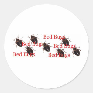 bedbugs classic round sticker