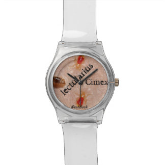 Bedbugs watch