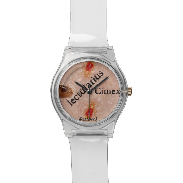 Bedbugs watch (Close Up)