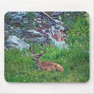 Bedded Buck Mouse Pad