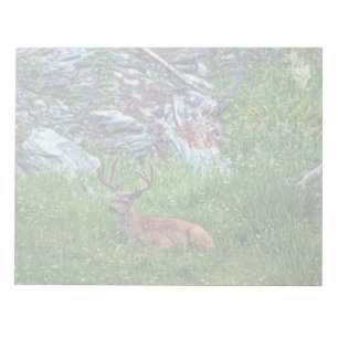 Bedded Buck Notepad