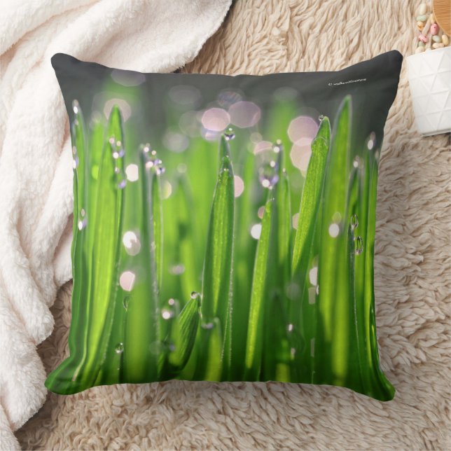 Bedewed Wheatgrass in the Morning Light Cushion (Blanket)