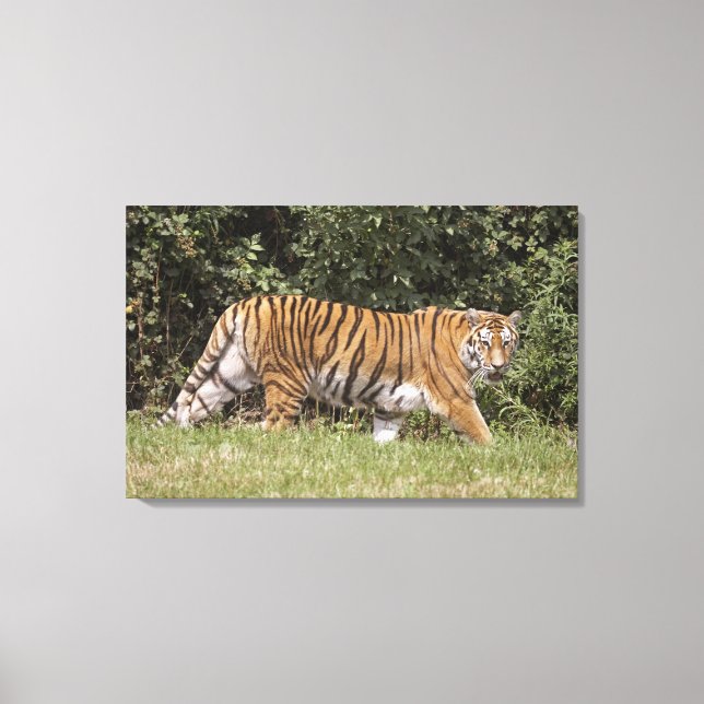 Bedfordshire, England 3 Canvas Print (Front)