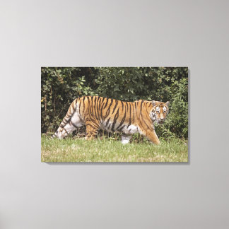 Bedfordshire, England 3 Canvas Print