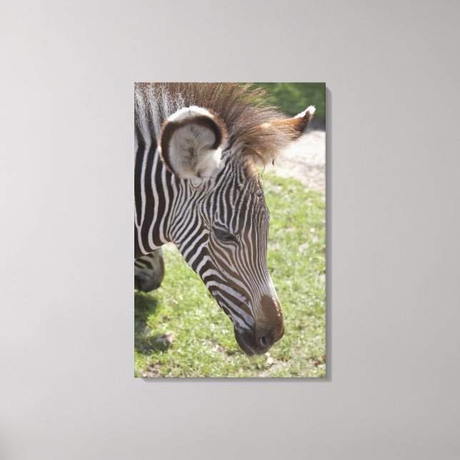 Bedfordshire, England Canvas Print (Front)