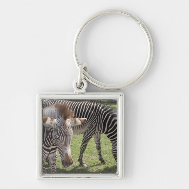 Bedfordshire, England Key Ring (Front)
