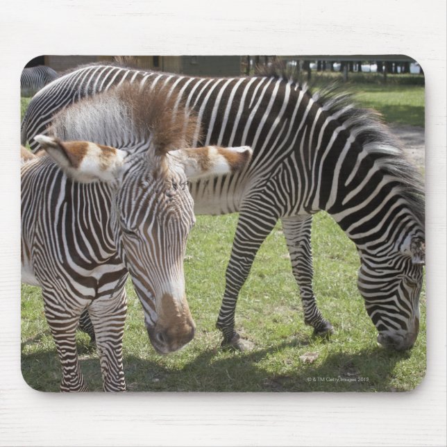 Bedfordshire, England Mouse Pad (Front)