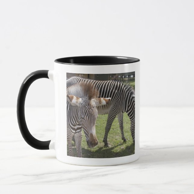 Bedfordshire, England Mug (Left)
