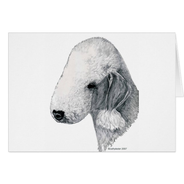 Bedlington Terrier (Front Horizontal)