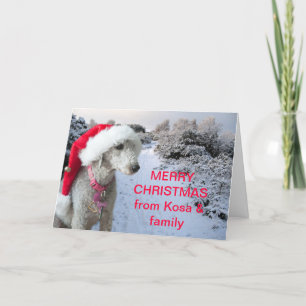 Bedlington terrier Christmas card