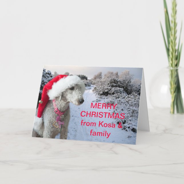 Bedlington terrier Christmas card (Front)