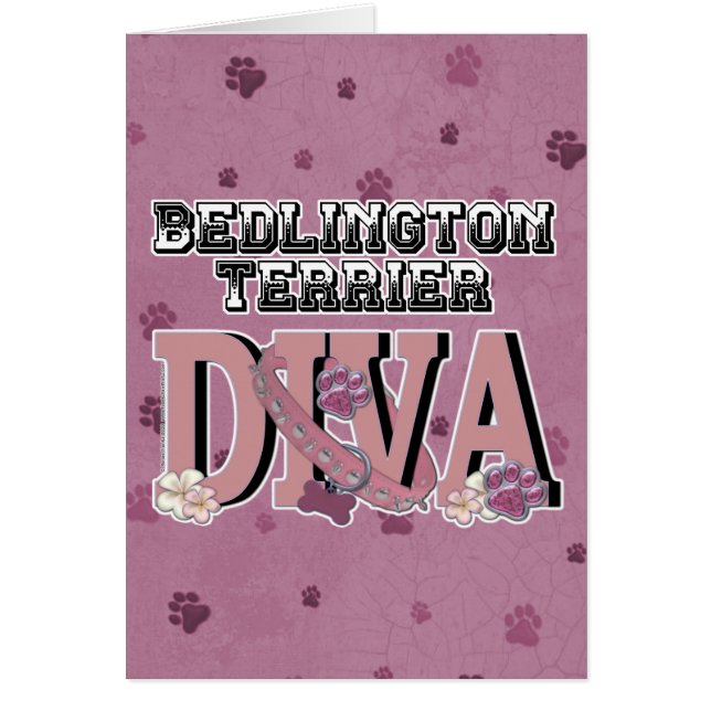 Bedlington Terrier DIVA (Front)