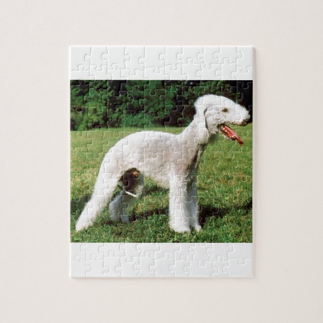 Bedlington Terrier Dog Jigsaw Puzzle (Vertical)