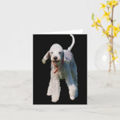 Bedlington Terrier dog photo blank greetings card (Yellow Flower)