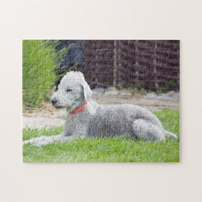 Bedlington Terrier Jigsaw Puzzle (Horizontal)