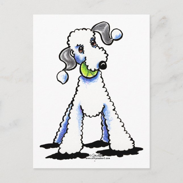 Bedlington Terrier Let's Play Postcard (Front)