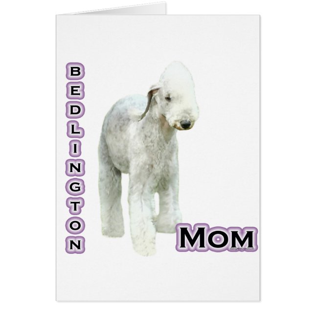 Bedlington Terrier Mum 4 (Front)