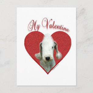 Bedlington Terrier My Valentine Holiday Postcard