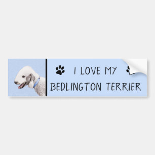 Bedlington Terrier Painting - Original Dog Art Bumper Sticker