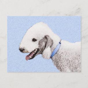 Bedlington Terrier Painting - Original Dog Art Postcard