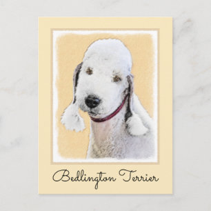 Bedlington Terrier Painting - Original Dog Art Postcard