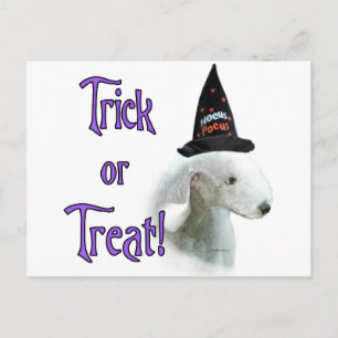 Bedlington Terrier Trick Postcard