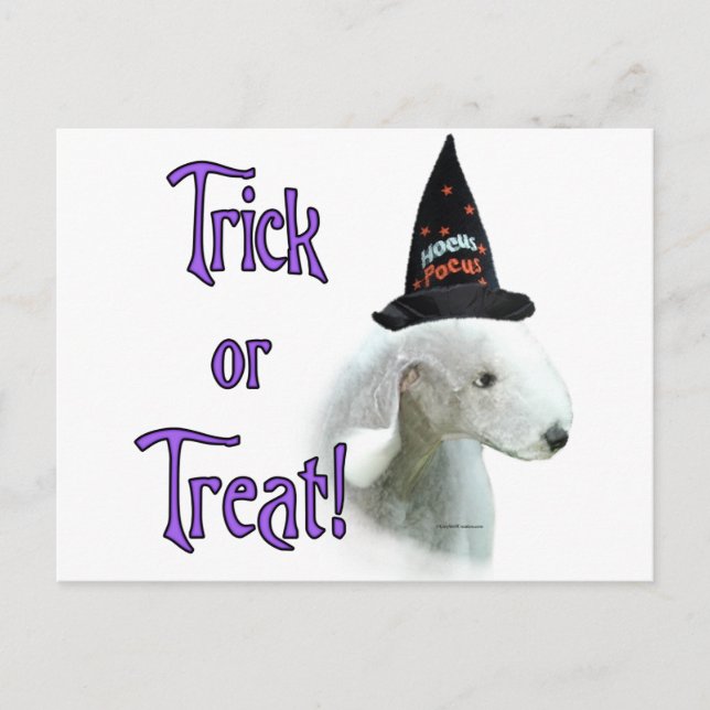 Bedlington Terrier Trick Postcard (Front)