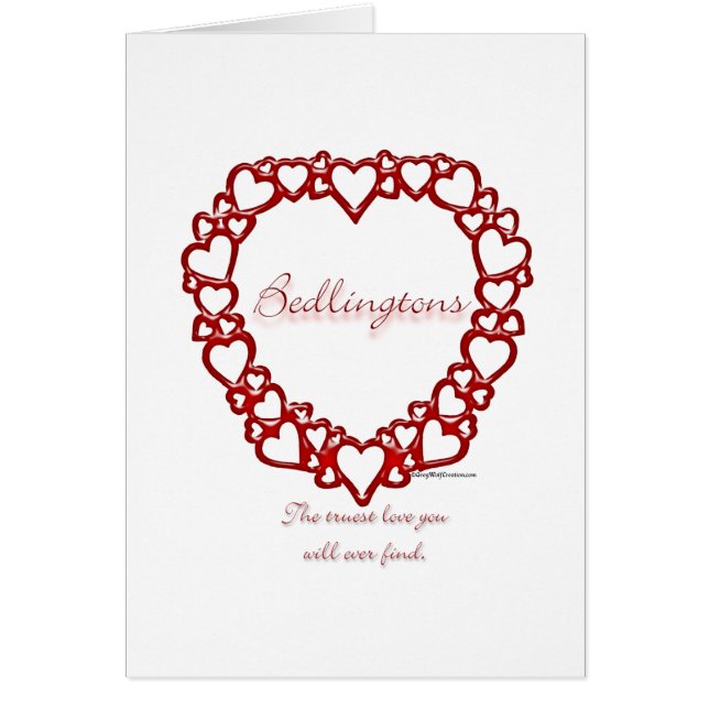 Bedlington Terrier True Love (Front)