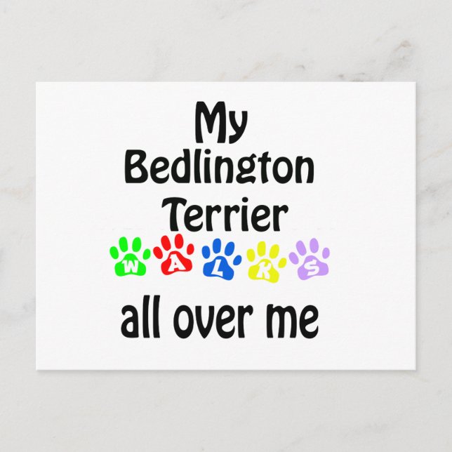Bedlington Terrier Walks Design Postcard (Front)