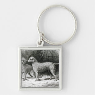 Bedlington Terriers- Mr. F. Armstrong's Key Ring
