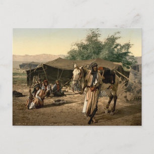 Bedouin Tent in the Holy Land Postcard