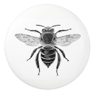 Bee 10 Knob