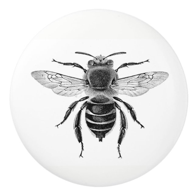 Bee 10 Knob (Front)