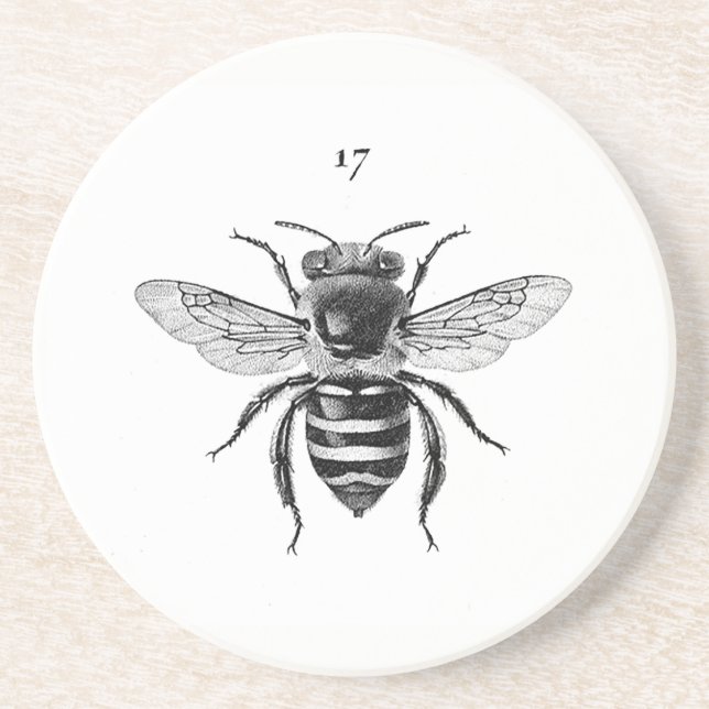 Bee 17 Sandstone Coaster (Front)
