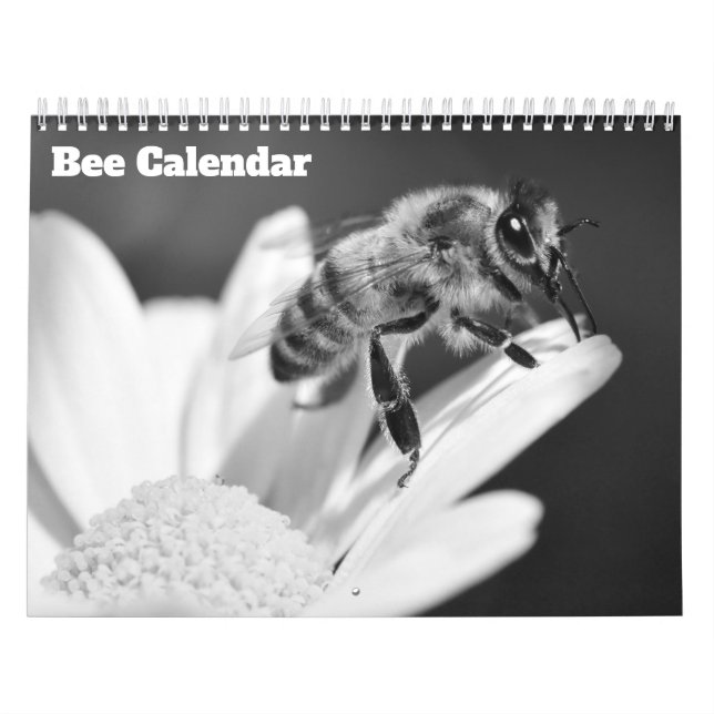 Bee 2026 calendar (Cover)