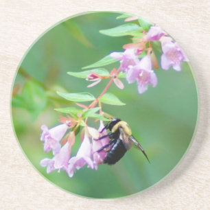 Bee and Abelia Coaster