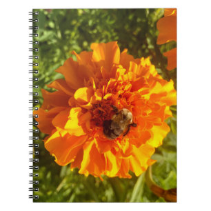 Bee and Blossom Notebook