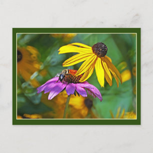 Bee and Blossoms Postcard
